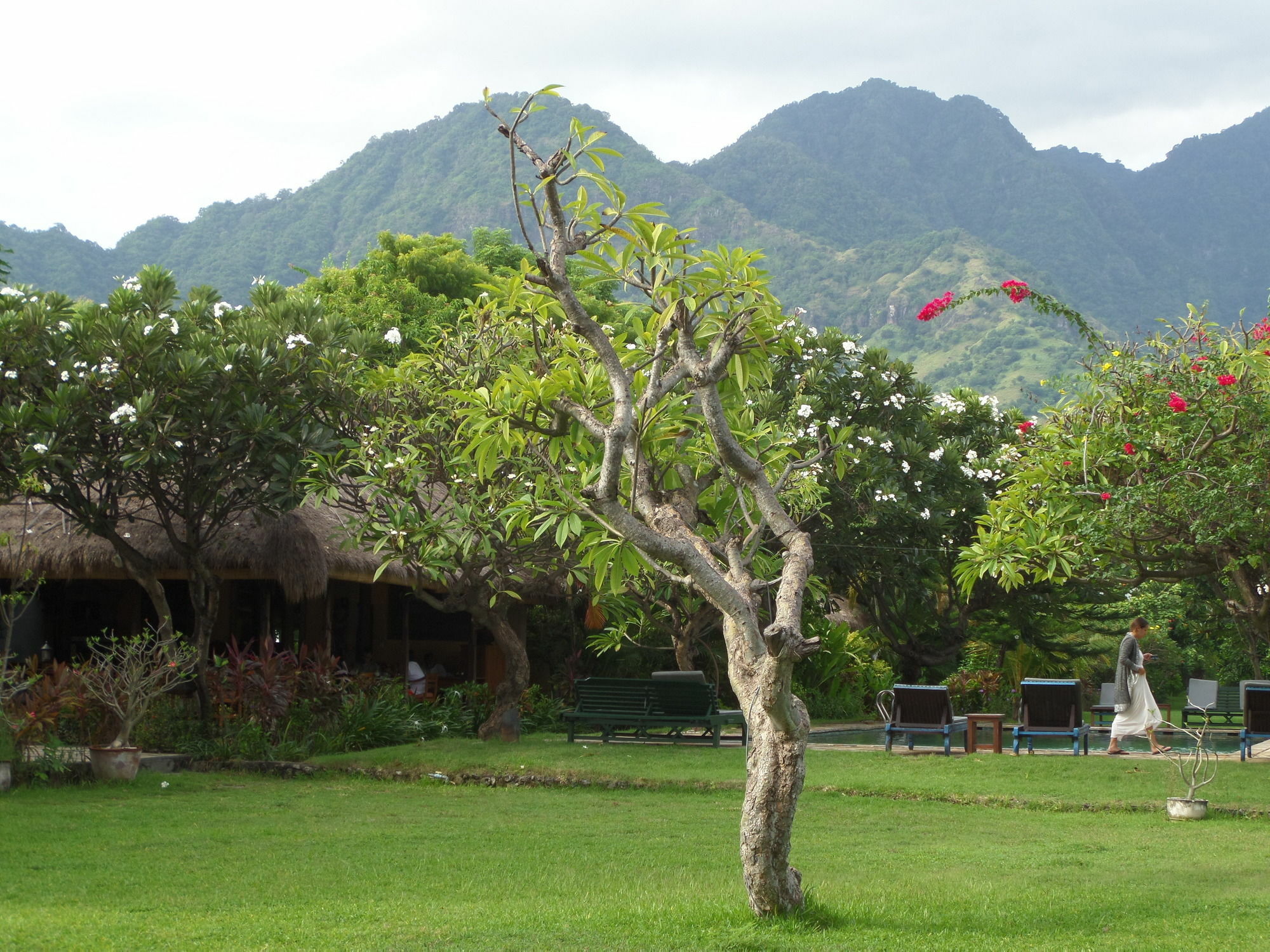 Taman Selini Wahana Beach Resort Pemuteran Екстериор снимка